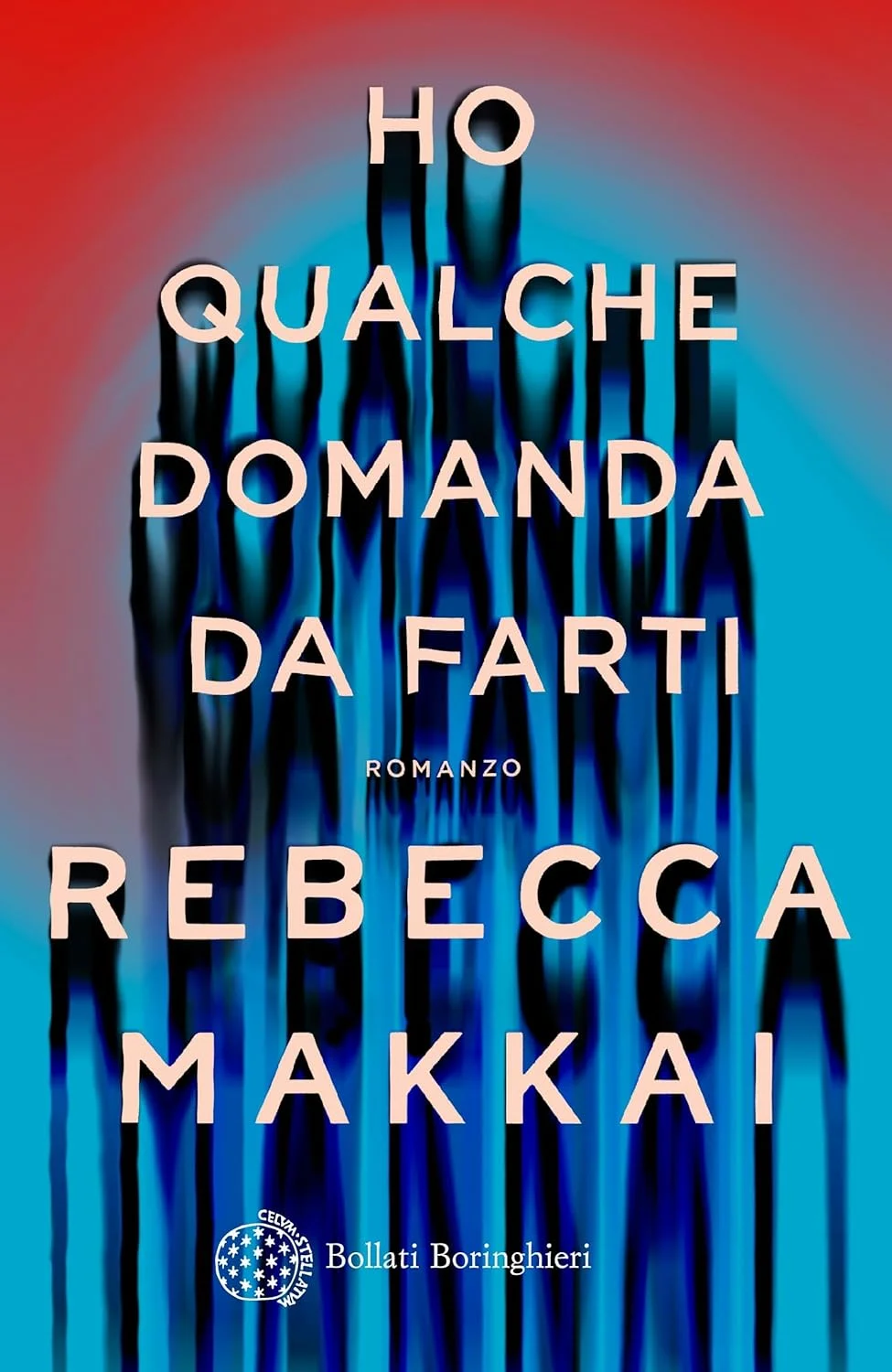 Ho qualche domanda da farti di Rebecca Makkai
