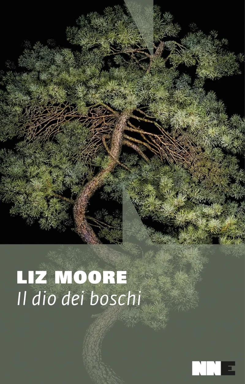 Il dio dei boschi di Liz Moore