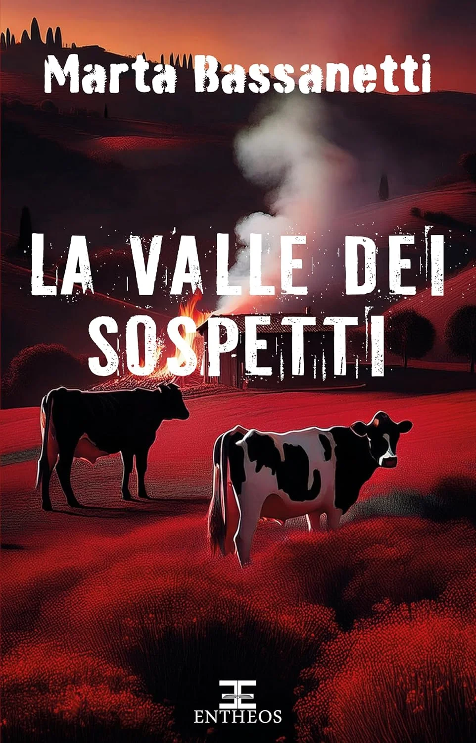 La valle dei sospetti di Marta Bassanetti